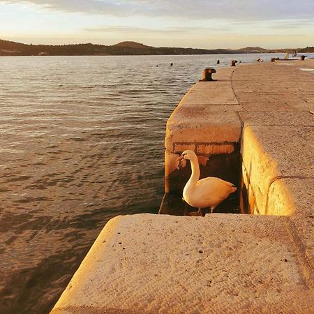 Urban Lights Hideaway - City Center Šibenik Eksteriør billede
