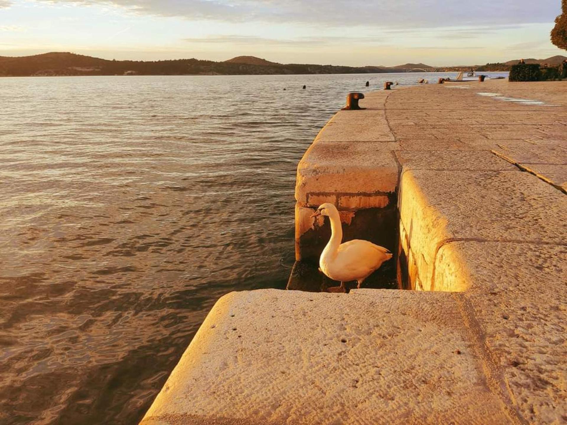 Urban Lights Hideaway - City Center Šibenik Eksteriør billede